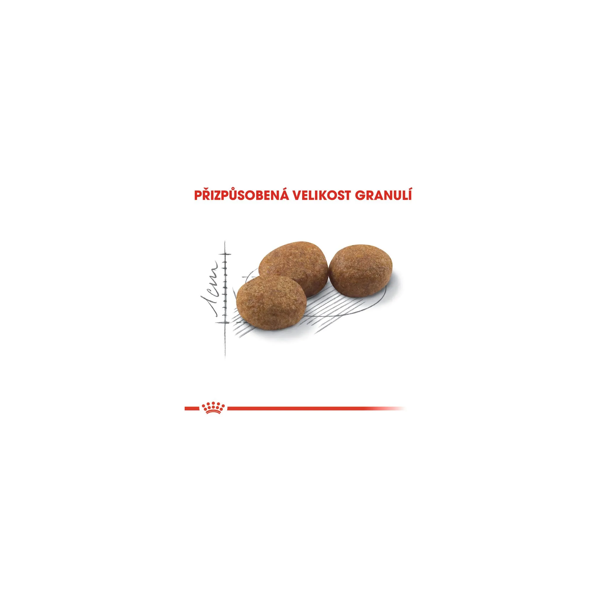 Fotografie 4 - Krmivo pro kočku Royal Canin Regular Sterilised 37 10 + 2 kg