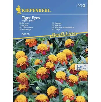 Semeno Aksamitník velkokvětý Tiger Eyes Kiepenkerl