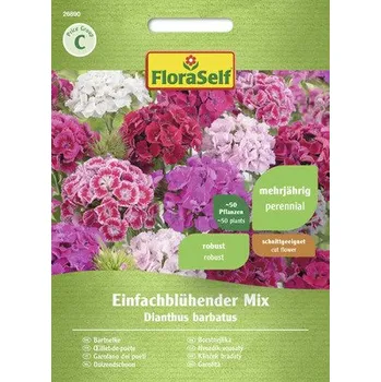 Semeno Hvozdík mix FloraSelf