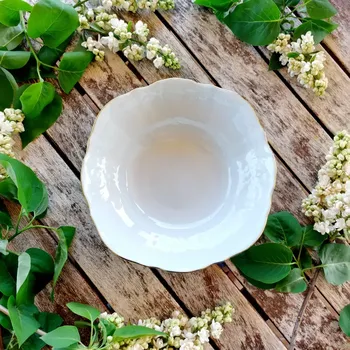 BERNADOTTE miska kompotová 19 cm, zlatá linka, Thun 1794 (Porcelánová miska 2. jakost)