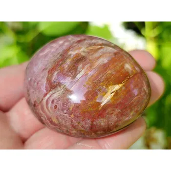 Přírodní kámen Zkamenělé dřevo hladký kámen z Madagaskaru 103g