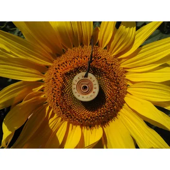 Přívěsek Přívěsek Svarog s kůrou (dvoustranný)