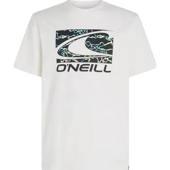Pánské tričko Pánské Tričko s krátkým rukávem O'NEILL JACK O'NEILL WAVE T-SHIRT 2850204-11010 – Bílá M