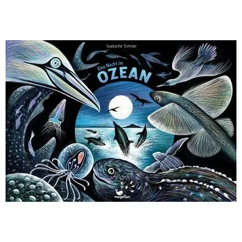 Příroda Eine Nacht im Ozean - Francois Lasserre; Isabelle Simler