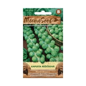 Semeno Semínka MoravoSeed Kapusta růžičková 62101,