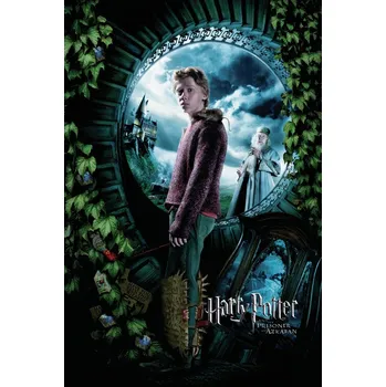Plakát Plakát, Obraz - Harry Potter a Vězeň z Azkabanu - Ron