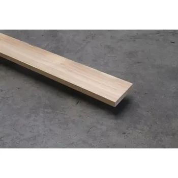 Plotovka Modřín hoblovaný 19/110/4000