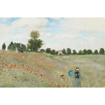 Plakát Plakát, Obraz - Wild Poppies, near Argenteuil (1873), Claude Monet