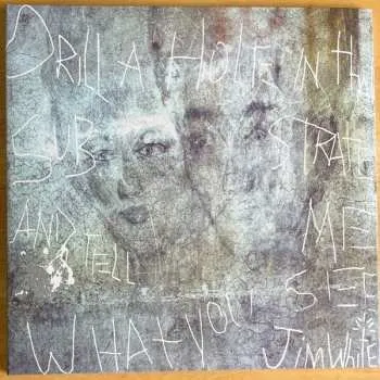 Zahraniční hudba 2LP Jim White: Drill A Hole In That Substrate And Tell Me What You See 2024