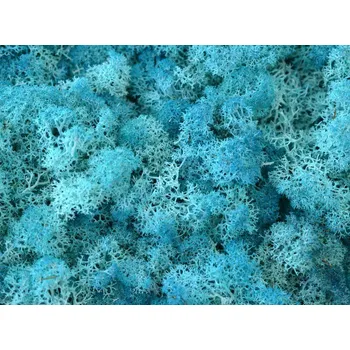 umělá květina ISLAND MOOS EXTRA TURQUOISE - bal. 25g