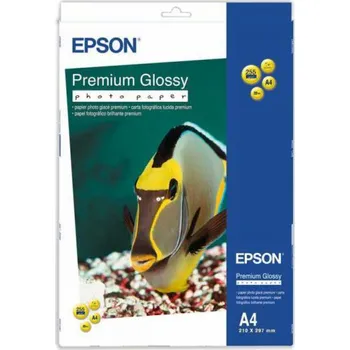 Počítačové příslušenství Fotografický papír Epson pro tiskárnu A4 (C13S042169)
