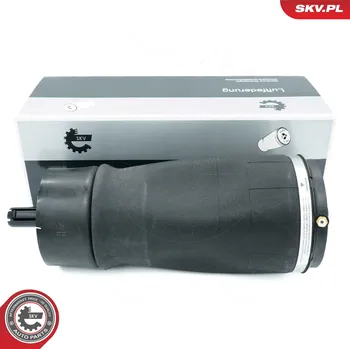 Vzduchová pružina, podvozek ESEN SKV 58SKV076