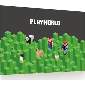 Psací podložka Podložka na stůl, 60x40 Playworld