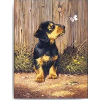 Hračka pro nejmenší SMT Malování Royal 22x30cm Pejsek s motýlem