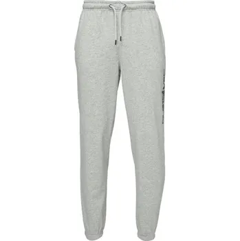 Pánské tepláky Quiksilver GRAPHIC PANT L Šedá