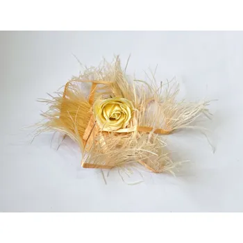 Svatební dekorace Pštrosí peří - meruňkové