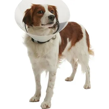 Chovatelství Límec Buster - clic collar sada 7 ks 7,5-40cm 273489