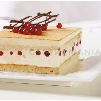 Farmaceutická surovina Stabilizátor šlehačky s příchutí broskve a maracuja, 0,5 kg | ZEELANDIA, Zeesan Brzoskwinia-Marakuja