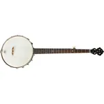 Saga Musical Instruments SS-10 Old…