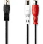 Redukční kabel DIN5 zástrčka / samec na 2xRCA / zásuvky