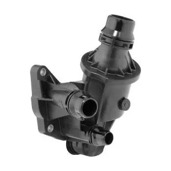 Autoelektrika Termostat, chladivo BorgWarner (Wahler) 411643.88D