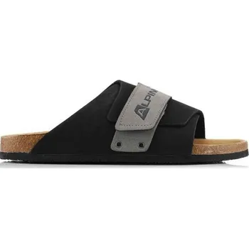 Pánská obuv Pánské pantofle ALPINE PRO TAFER 41 Černá, Šedá, Hnědá