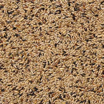 Krmivo pro ptáka Deli Nature 80 - Canary Breeding Without Rapeseed 4kg (Chov kanárů bez řepky)