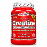 Amix Creatine monohydrate 1000 g