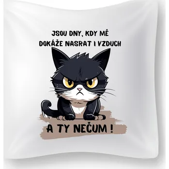 Dekorativní polštářek Polštářek - Jsou dny, kdy mě dokáže nasrat i vzduch!