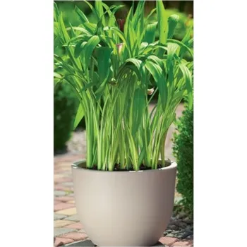 Hrnec Hrnec Forma Plast Kulatý 2731, plast, V 35 cm, hnědá