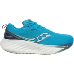 Saucony Triumph 22 S10964-213