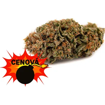 CBD CBD konopí - Amnesia Haze - Weedshop - 0,7 % THC Váha: 10 g