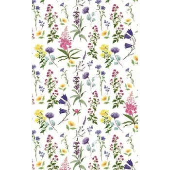 Balící papír BP1 658 - Balící papír 70x100 dárkový