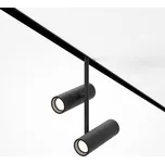 MAYTONI svítidlo pro kolejnicový systém Elti Duo Magnetic track system Exility 24W 36d TR005-4-2X12W-DS-B