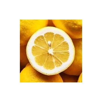 Sušené ovoce Citron lyofilizovaný, dužina prášek XXL 2000 g, NaturBites
