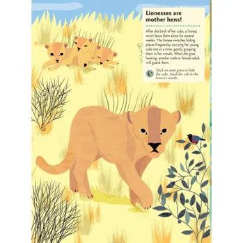 omalovánky Chronicle Books Kniha aktivit se samolepkami V době dinosaurů