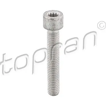 Nářadí pro automobil Šroub, příruba hnacího hřídele HANS PRIES - TOPRAN 104 306