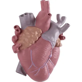 Váza Váza LOVE IN BLOOM 25 cm, barevná, Seletti - doprava zdarma od 2999 Kč