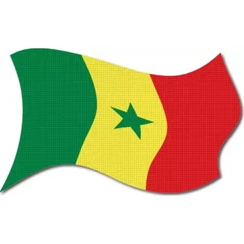 Vlajka Pelisport Senegalská vlajka vlající