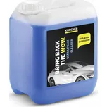 ULTRA FOAM CLEANER RM 527, 5L