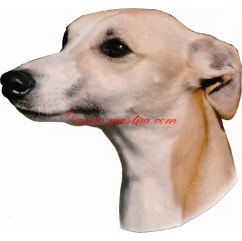 Samolepka vipet - archiv 446