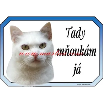 Cedulka kočka evropská bílá - Bez samolepicí vrstvy