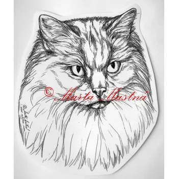 Samolepka ragdoll, kočka - archiv c315 - Malá - přibližně jako pohlednice