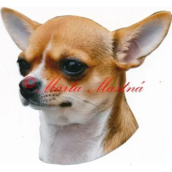 Samolepka čivava , chihuahua 370