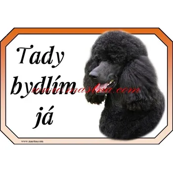 Cedulka pudl černý modern bydlím - Bez samolepicí vrstvy