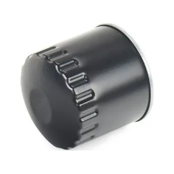 Olejový filtr Olejový filtr Renault GRAND SCÉNIC III (JZ0/1_) - DACO Germany --