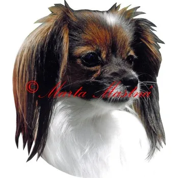 Samolepka phaléne archiv