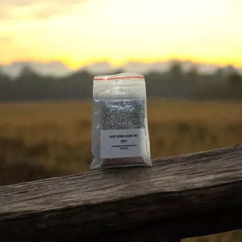 GLITR DO GUMOVÝCH NÁSTRAH STŘÍBRNÝ 20G-0,4MM