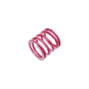 Tuning Předpínací pružina p. nápravy Renault 19 I Chamade (L53_) z podvozku EVOGWRE04 -