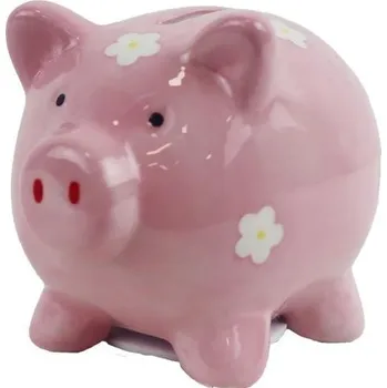 Pokladnička Pokladnička prasátko X6492-05